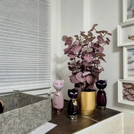 Homestay Serenity Vista Retreat